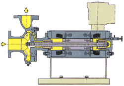 Canned Motor Pumps - Teikoku South Asia Pte Ltd