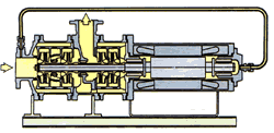 F-M Type