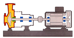 Conventional Mechanical Seal Pump
